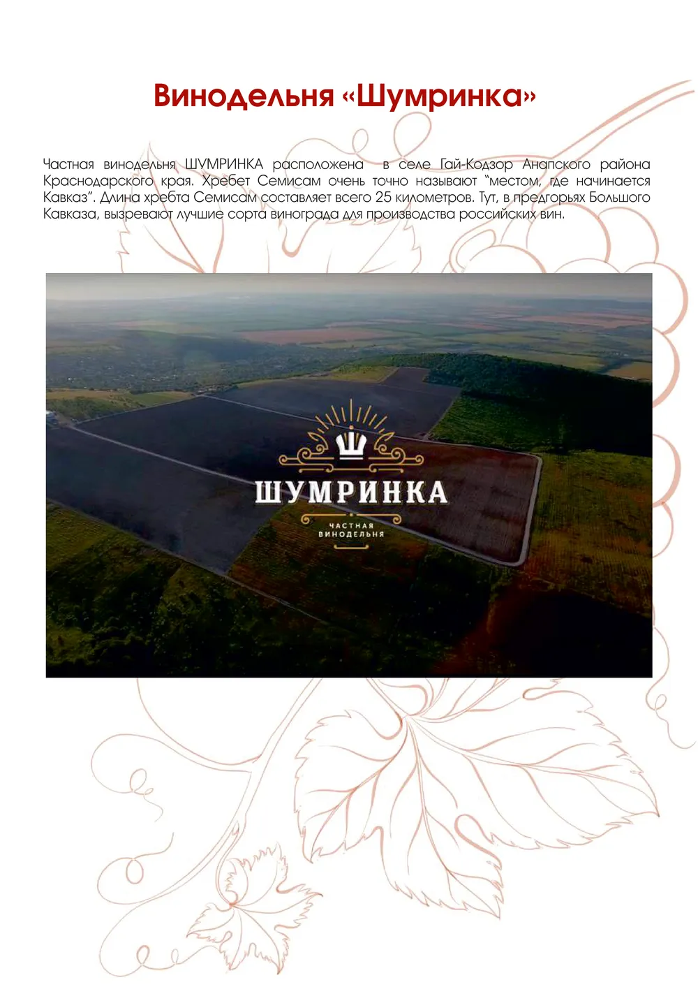 Мильстрим-каталог